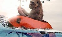 animals photo manipulations