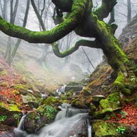 landscape photography