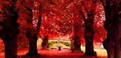 Nature Photography 1