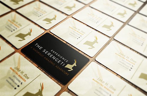 Experience The Serengeti Biz Cards