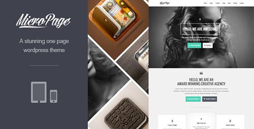 MicroPage - Responsive One Page WordPress Theme