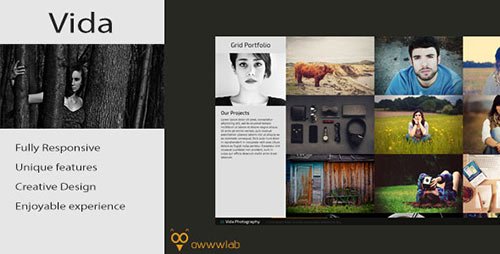 Vida - Responsive Creative Photography Template