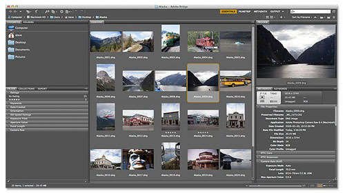 How To Transfer Photos From Your Camera To Your Computer