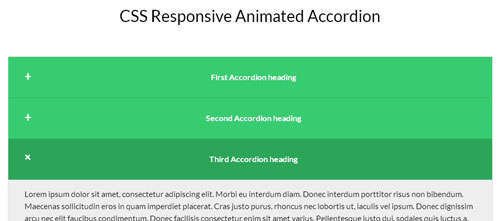 CSS Responsive Animated According